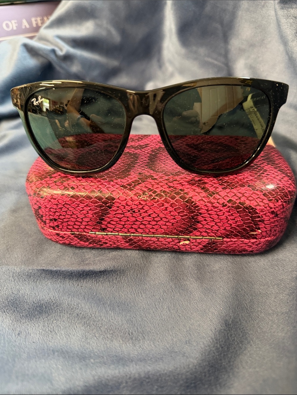 Ray-Ban Black Frame Sunglasses with Dark Lenses